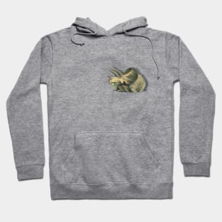 Pocket Triceratops Hoodie